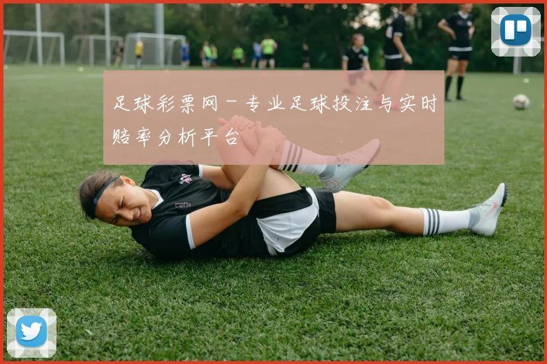 足球彩票网 - 专业足球投注与实时赔率分析平台